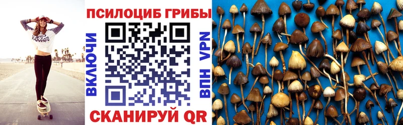 цены   Баймак  Галлюциногенные грибы прущие грибы 
